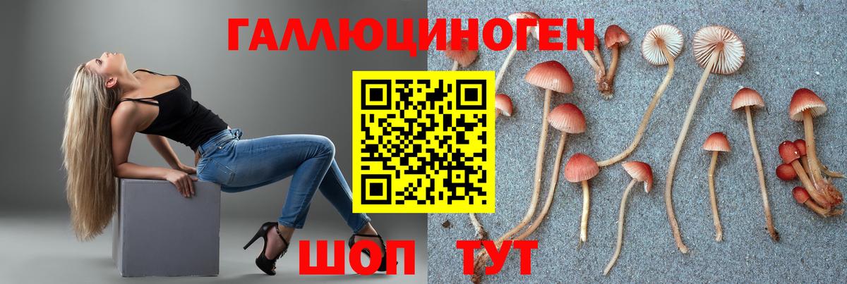 Галлюциногенные грибы Cubensis Кунгур